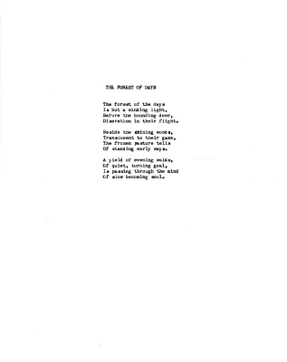 191202-The Forest Of Days
